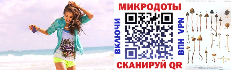 Галлюциногенные грибы прущие грибы  что такое   Брянск 