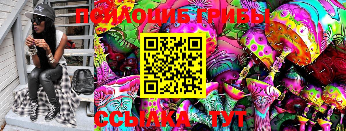 Галлюциногенные грибы MAGIC MUSHROOMS Брянск