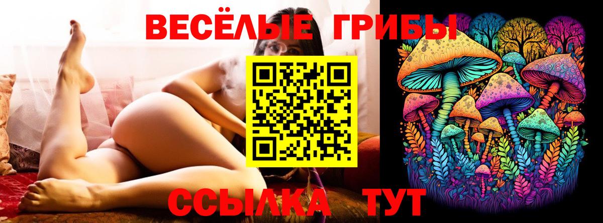 Галлюциногенные грибы GOLDEN TEACHER  Псилоцибиновые грибы GOLDEN TEACHER  Вход с VPN  Брянск 