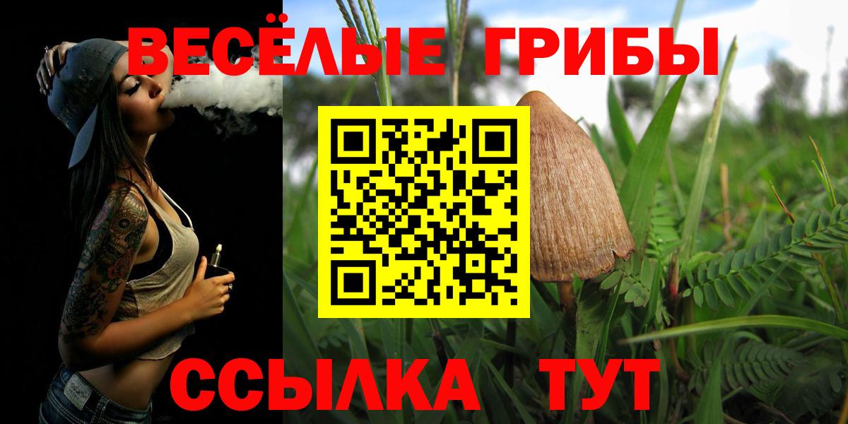 Псилоцибиновые грибы мицелий Брянск