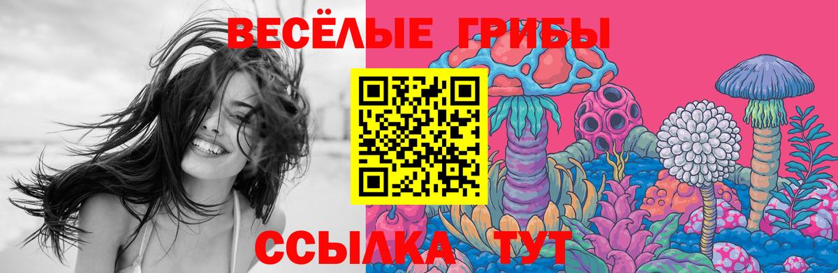 Галлюциногенные грибы Cubensis  Псилоцибиновые грибы мицелий  Брянск 